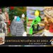 Covil dos Jogos – Live Nórdica 49 – Controle/Influência de Área