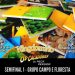 Torneio Kingdomino: Semifinal 1 – Grupo Campo e Floresta (Ao Vivo)