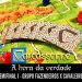 Torneio Carcassonne: Semifinal 1 – Fazendeiros e Cavaleiros