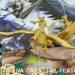 Covil dos Jogos – O Que Tem na Caixa? Unboxing Tail Feathers