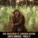 O Dia que o Didi virou Aragorn! – Cortes Nórdicos