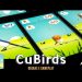 Cubirds –  Regras  e Gameplay Ao Vivo