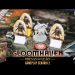 Gloomhaven Presas do Leão – Gameplay Cenário 2 (Ao Vivo)