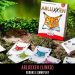 Abluxxen (Linko) – Regras e Gameplay