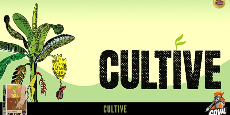 Cultive – Regras e Gameplay
