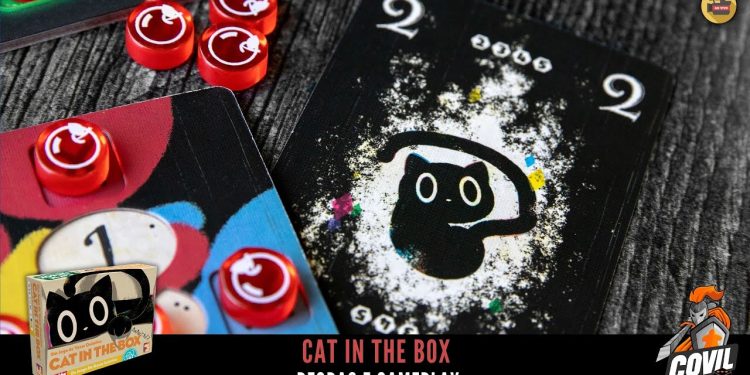 Cat in the Box –  Regras e Gameplay