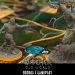The Witcher Old World –  Regras e Gameplay
