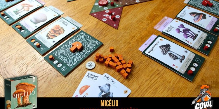 Primeiras Impressões Micélio – Mosaicon 2024