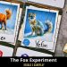 The Fox Experiment – Regras e Gameplay