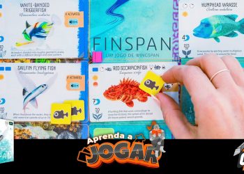 Aprenda a Jogar – Finspan