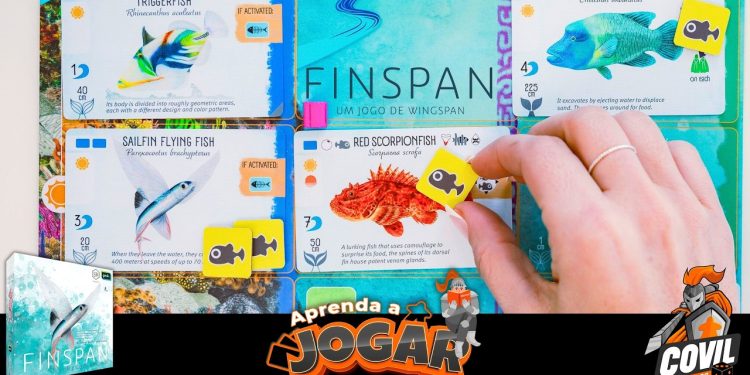 Aprenda a Jogar – Finspan