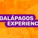 Live Nórdica 390 – Galápagos Experience