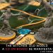Live Nórdica 441 – The Witcher: Old World A Go On Board se manifesta!