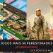 Live Nórdica 447 – Jogos Mais Superestimados (Overrated)! SUPER SORTEIO!