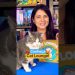 Aprenda a jogar Cat Lounge em 1 Minuto!